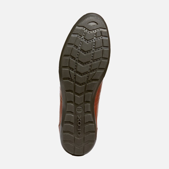 Casual Obuv Geox Symbol Panske Hnede | 36274-AUXB