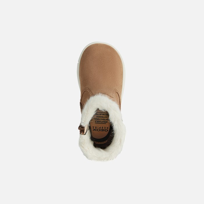 Mid-calf Boots Geox Trottola Pre Babatka Whisky | 97538-CKMG